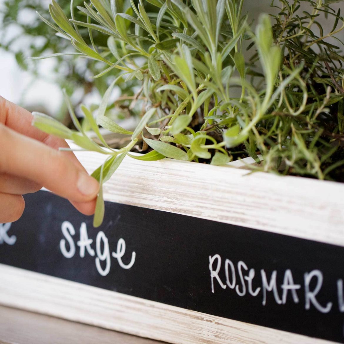 5 Ways Chalkboard Herbs 1