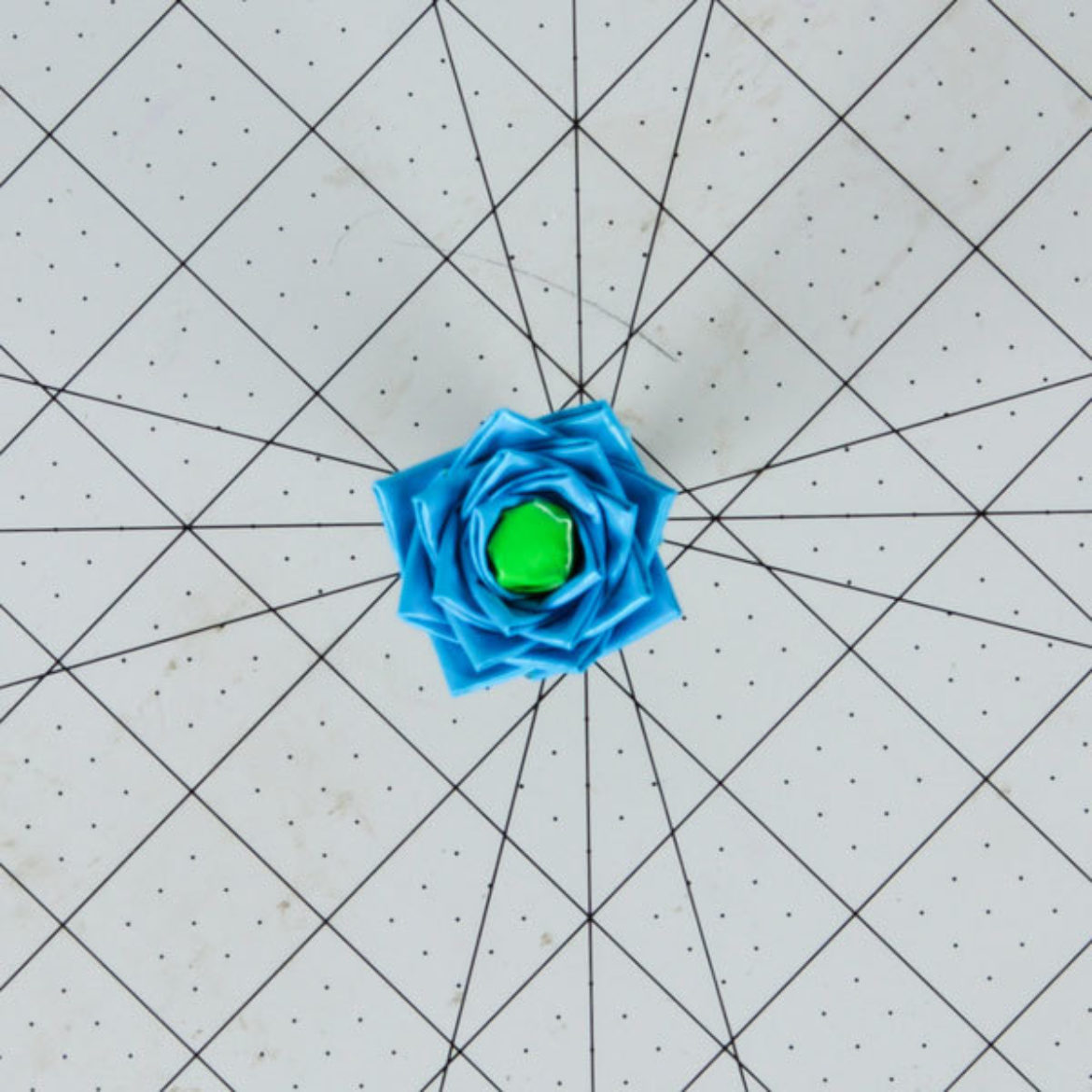 Top view of a miniature rose