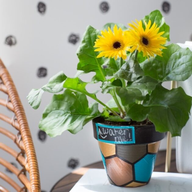 How-To: Duck Tape® Plant Holder