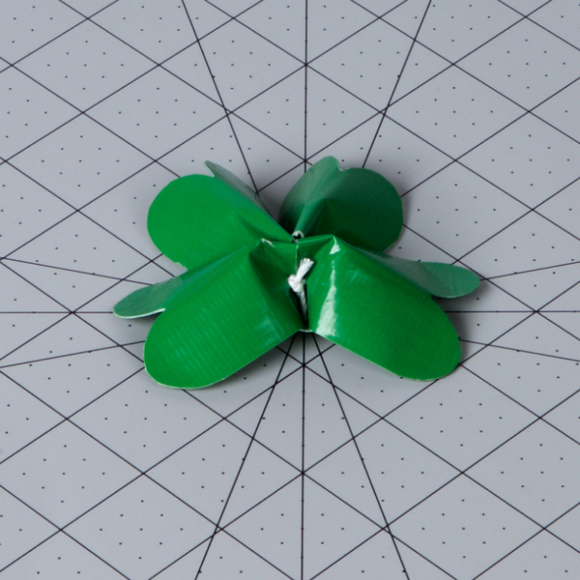 string pulled tight to scrunch the leaves together into the shape of a clover