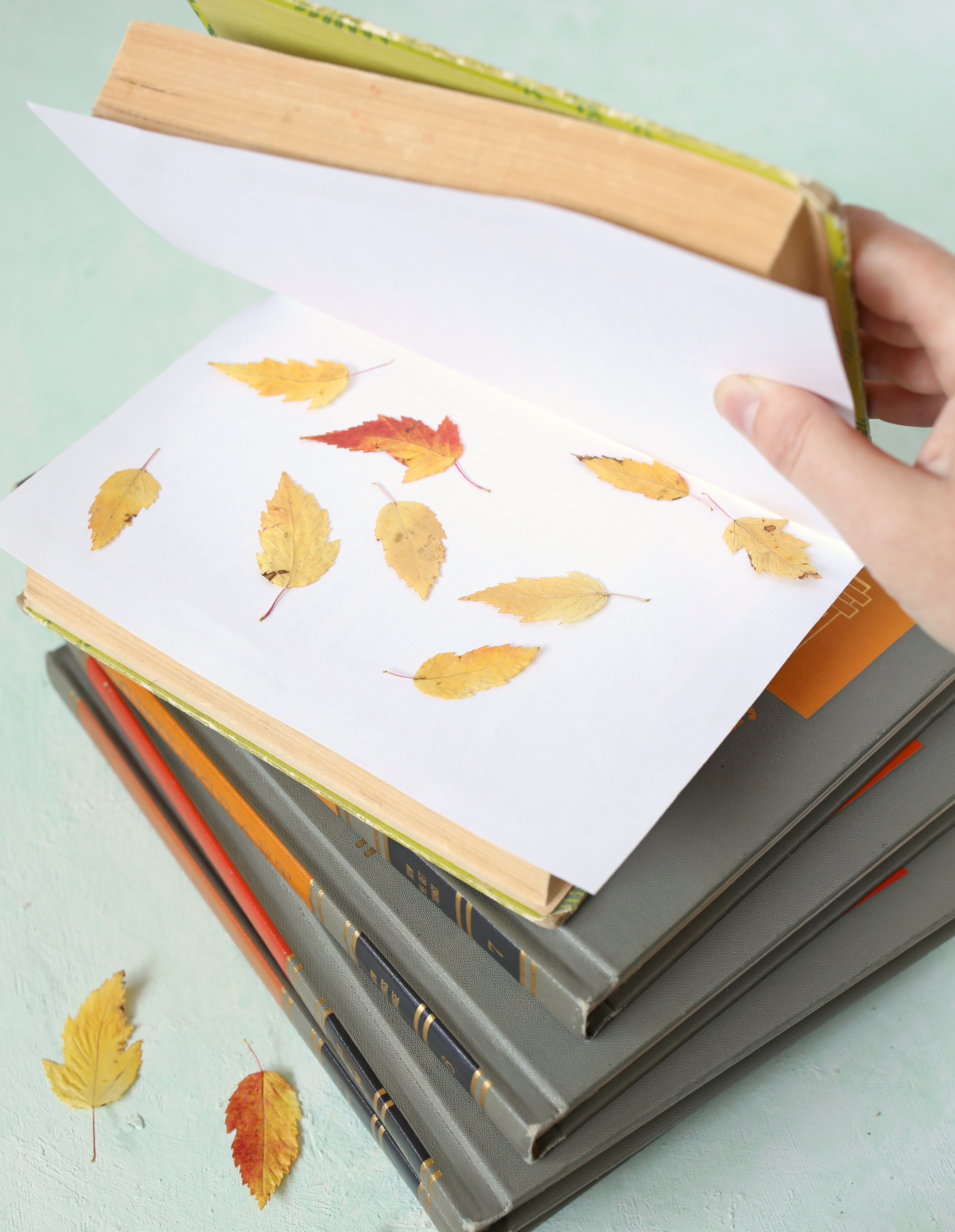 Fall Placemats 4