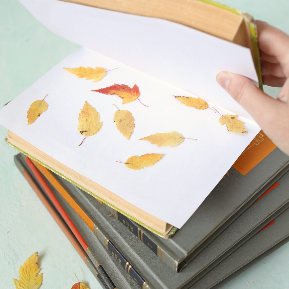 Fall Placemats 4