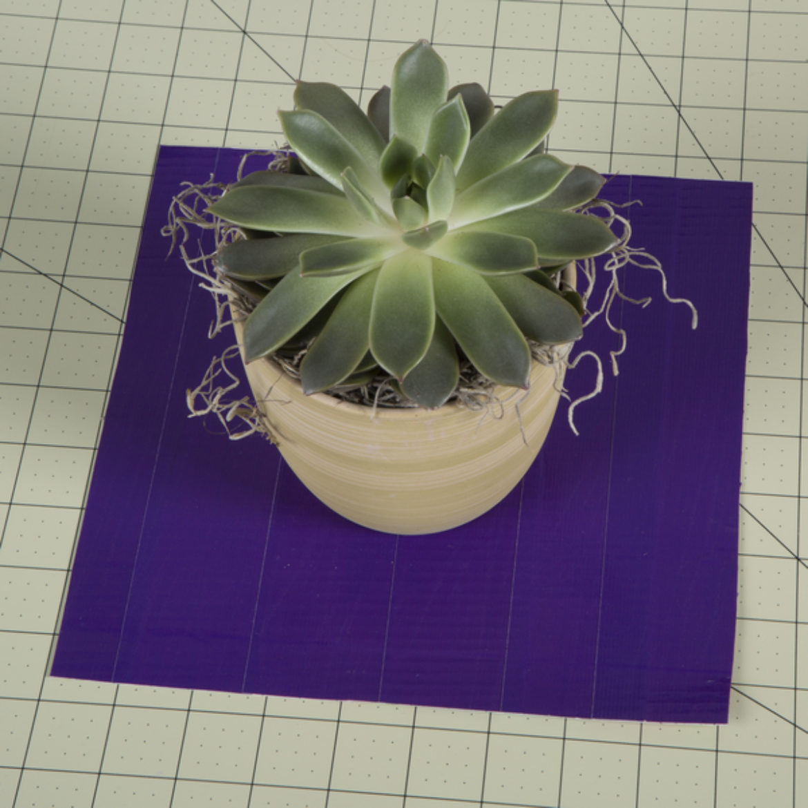 Cut a large square out of the Duck Tape sheet made in the previous steps, the potted plant is the placed in the center of the square to ensure coverage